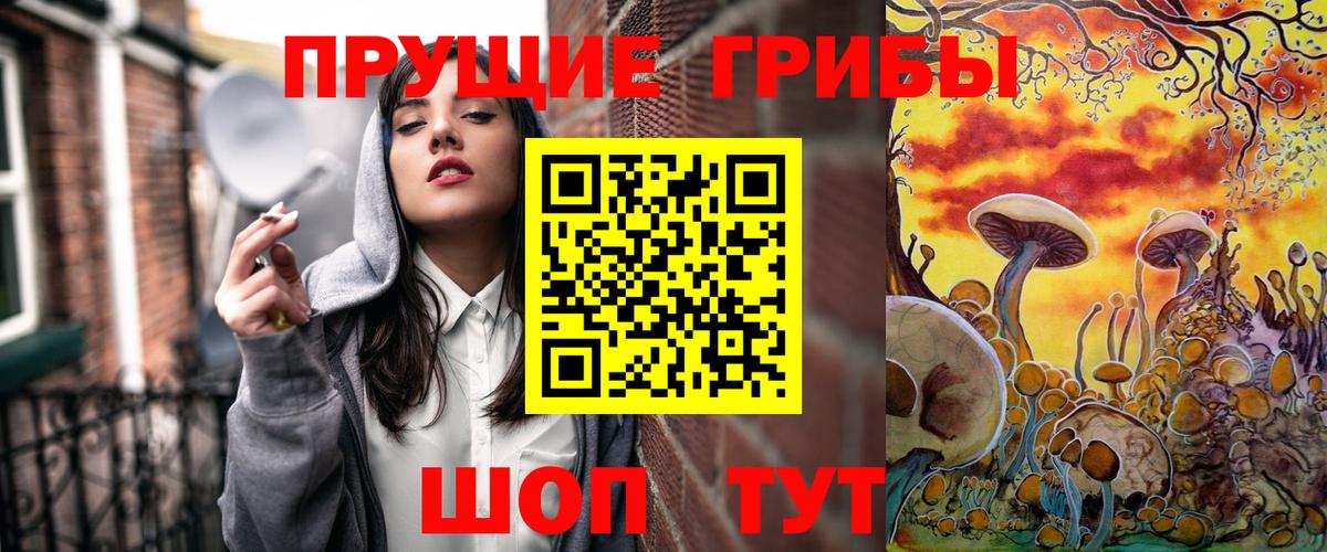 Псилоцибиновые грибы прущие грибы Ростов Великий