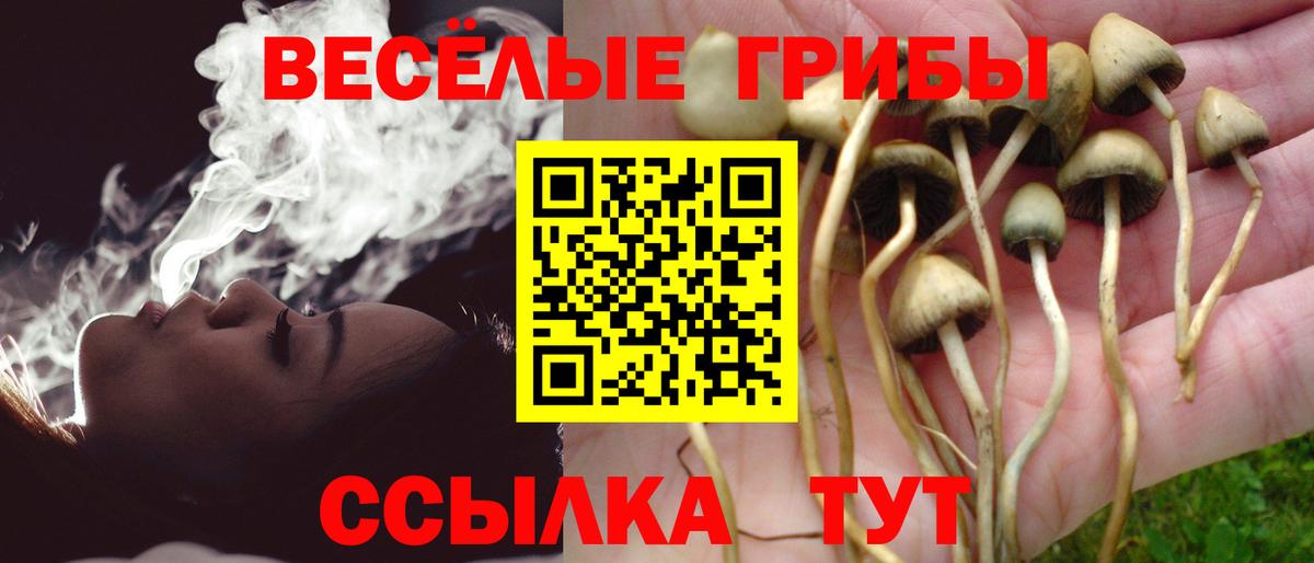 Галлюциногенные грибы прущие грибы  Вход с VPN  Ростов Великий 